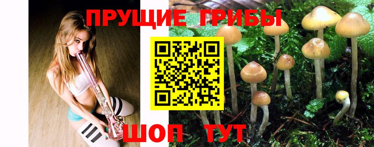 Псилоцибиновые грибы MAGIC MUSHROOMS  Псилоцибиновые грибы Psilocybine cubensis  Вход с VPN  хочу   Верхняя Салда 